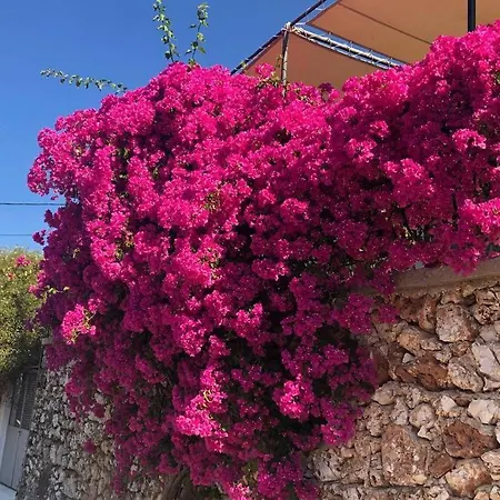 펜션 Konstantinas House, A Touch Of Nature & Sea *